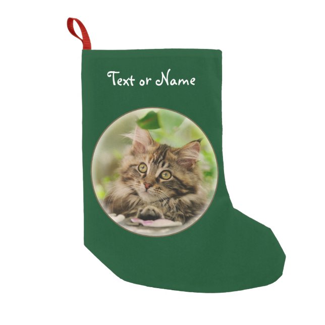 Niedliches Maine-Waschbär-Katzen-Kätzchen - Kleiner Weihnachtsstrumpf (Vorderseite)