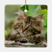 Niedliches Maine-Waschbär-Katzen-Kätzchen-Porträt Keramikornament (Rückseite)