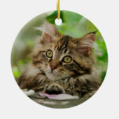 Niedliches Maine-Waschbärkätzchen Keramikornament (Hinten)