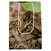 Niedliches Maine-Waschbärkätzchen Mittlere Geschenktüte (Rückseite)