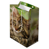 Niedliches Maine-Waschbärkätzchen Mittlere Geschenktüte (Rückseite Schrägansicht)