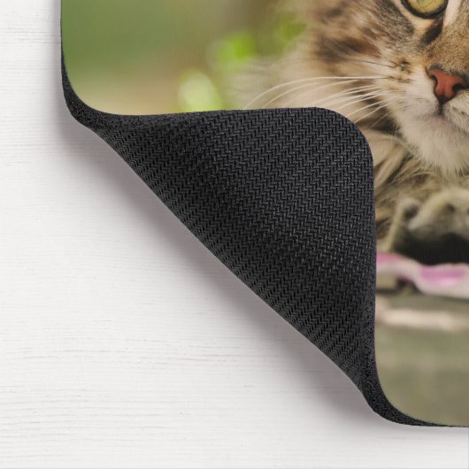 Niedliches Maine-Waschbärkätzchen Mousepad (Ecke)