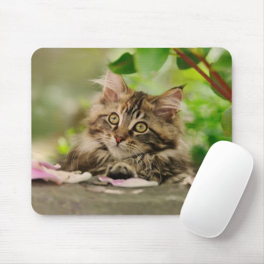 Niedliches Maine-Waschbärkätzchen Mousepad (Mit Mouse)