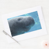 Niedliches Manatee, das an den Stickern herausheck Rechteckiger Aufkleber (Umschlag)
