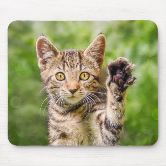 Niedliches Maneki Neko Katze Kitten Funny Beach Po Mousepad (Vorne)