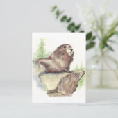 Niedliches Marmot, Tierart, Wildfauna Postkarte (Stehend Vorderseite)
