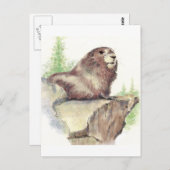 Niedliches Marmot, Tierart, Wildfauna Postkarte (Vorne/Hinten)