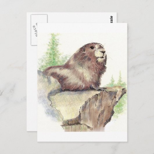 Niedliches Marmot, Tierart, Wildfauna Postkarte (Vorne/Hinten)