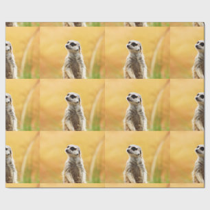 Niedliches Meerkat Verpackungs-Papier Geschenkpapier