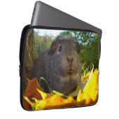 Niedliches Meerschweinchen in der Natur Laptopschutzhülle (Vorne Rechts)