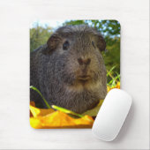 Niedliches Meerschweinchen in der Natur Mousepad (Mit Mouse)