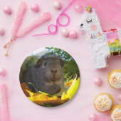 Niedliches Meerschweinchen in der Natur Pappteller (Party)