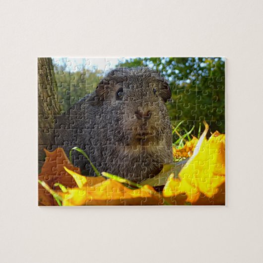 Niedliches Meerschweinchen in der Natur Puzzle (Horizontal)