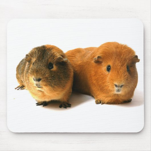 niedliches Meerschweinchen Mousepad (Vorne)