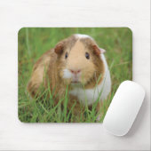 Niedliches Meerschweinchen Mousepad (Mit Mouse)
