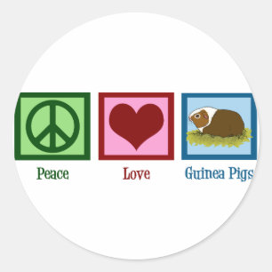 Niedliches Meerschweinchen Runder Aufkleber