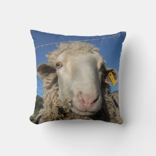 Niedliches Merino-Schafschaf Kissen
