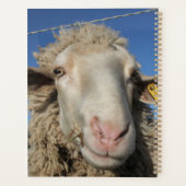 Niedliches Merino-Schafschaf Planer (Rückseite)