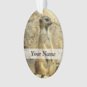 Niedliches Merkat-Foto Ornament (Vorderseite)