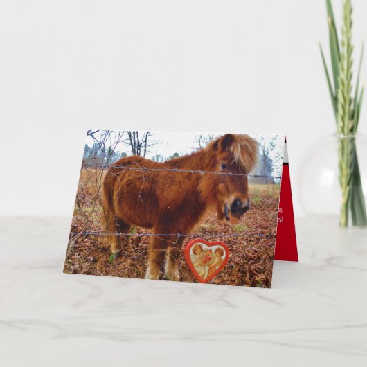 Niedliches Miniatur-Pferd Karte (Vorderseite)