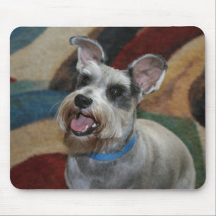 Niedliches MiniSxhnauzer Mousepad