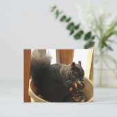 Niedliches, Mit Augen Schwarzes Eichhörnchen Erdnü Postkarte (Stehend Vorderseite)