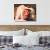 Niedliches Monkey Poster Leinwanddruck (Insitu (Schlafzimmer))