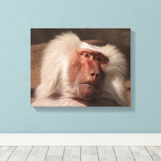 Niedliches Monkey Poster Leinwanddruck (Insitu (Holzboden))