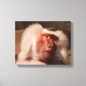 Niedliches Monkey Poster Leinwanddruck (Vorderseite)