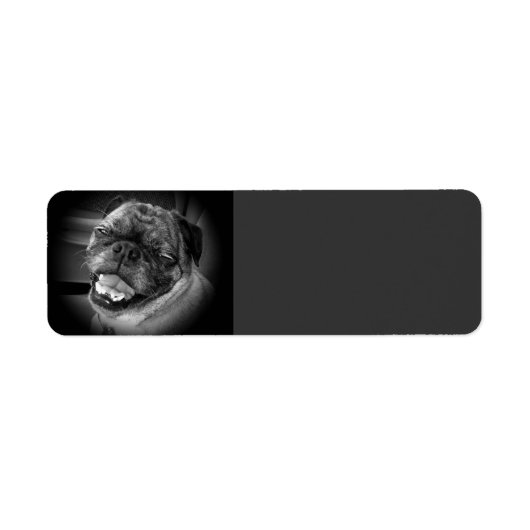 Niedliches Mops-Hundetikett (Vorne)