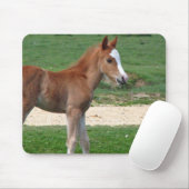 Niedliches Mousepad (Mit Mouse)