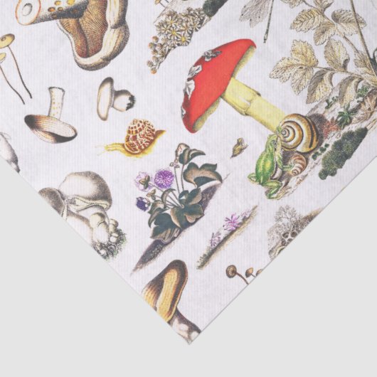 Niedliches Mushroom Frosch Schneckenwaldmuster Seidenpapier (Detail)