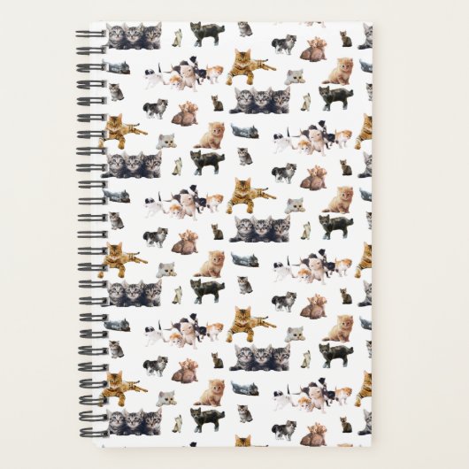 Niedliches Muster mit Fotos von Katzen und Kätzche Planer (Vorderseite)