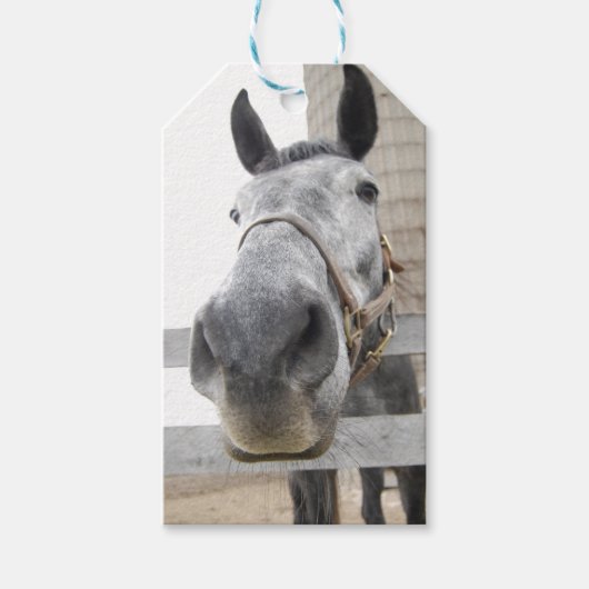 Niedliches Nahes Pferd Geschenkanhänger (Vorderseite)