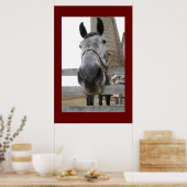 Niedliches Nahes Pferd Poster (Küche)