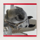 Niedliches Nahes Pferd Puzzle (Horizontal)