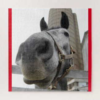 Niedliches Nahes Pferd Puzzle