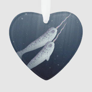 Niedliches Narwhals, das zusammen Underwater Ornament