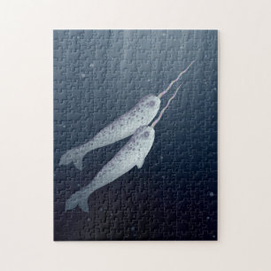 Niedliches Narwhals, das zusammen Underwater Puzzle