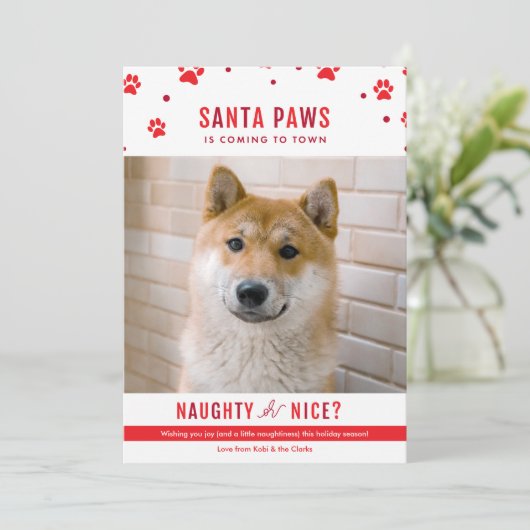 Niedliches Naughty oder Nice Hund Weihnachten Foto (Stehend Vorderseite)
