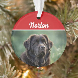 Niedliches Neufundland Dog Holiday Weihnachten Fot Ornament