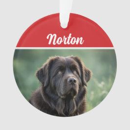 Niedliches Neufundland Dog Holiday Weihnachten Fot Ornament