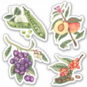 Niedliches Obst Aufkleber (Vorderseite)