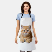 Niedliches orangefarbenes Kätzchen mit orangefarbe Schürze (Getragen)