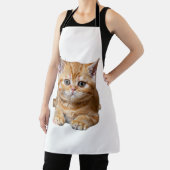 Niedliches orangefarbenes Kätzchen mit orangefarbe Schürze (InSitu)