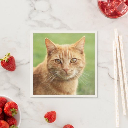 Niedliches Orangenkatzenportrait Serviette (Beispiel)