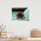 Niedliches Orangutan in Sabah Borneo Dschungel Poster (Küche)