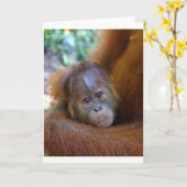 Niedliches Orangutan Karte (Gelbe Blume)
