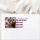 Niedliches Orangutan mit Kuss versiegelt (Insitu)