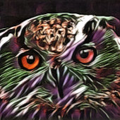 NIEDLICHES OWL FUßMATTE